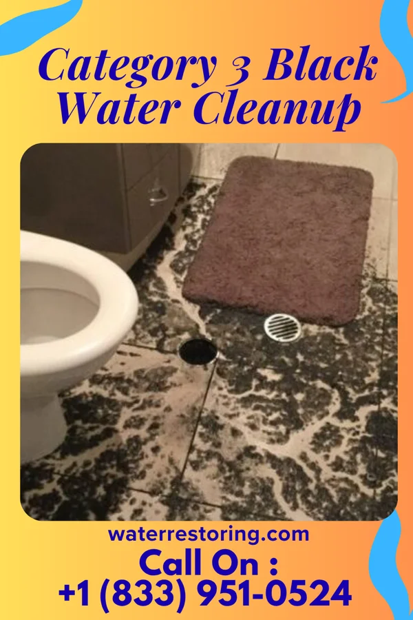 Category 3 Black Water Cleanup in Mars Hill, NC