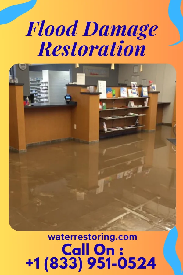 Flood Damage Restoration in Mars Hill, NC
