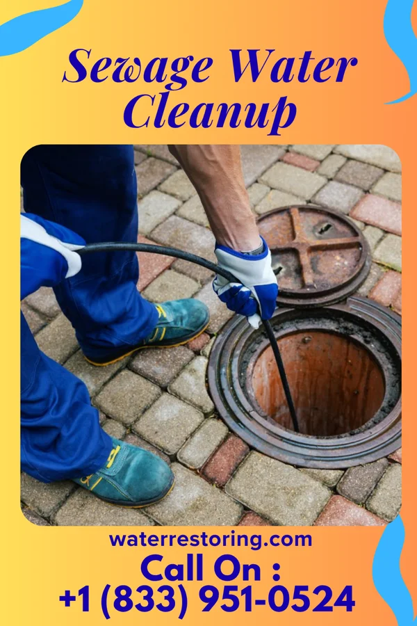 Sewage Water Cleanup in Mars Hill, NC