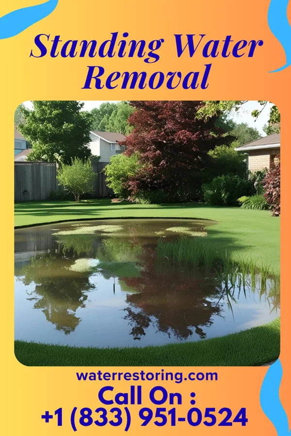 Standing Water Removal in Mars Hill, NC